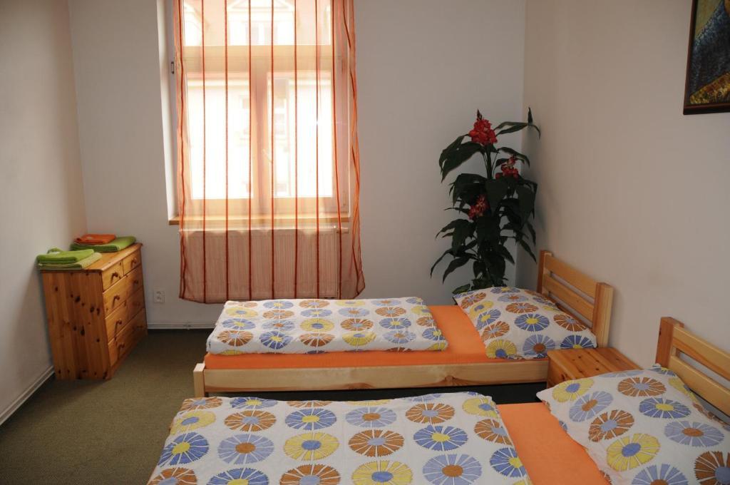 Penzion Pupendo Hradec Kralove Ngoại thất bức ảnh