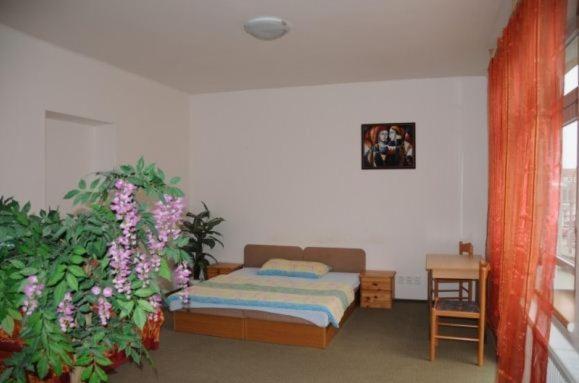 Penzion Pupendo Hradec Kralove Ngoại thất bức ảnh